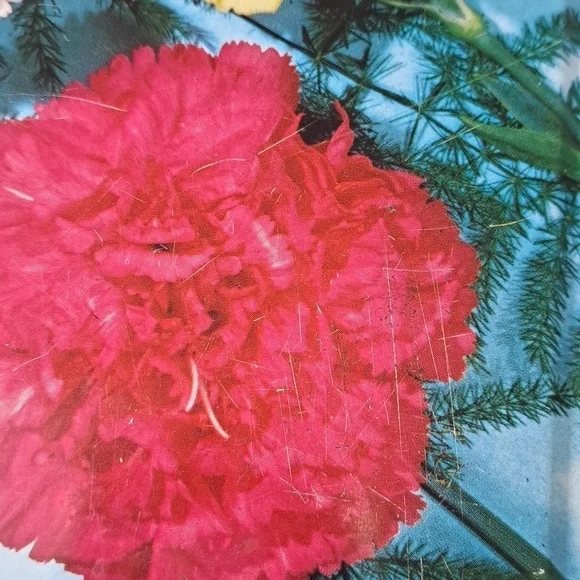 RARE Carr’s of England Floral Tin 💐 | Vintage Cookie Box | Hood-Cottagecore - Picture 11 of 12